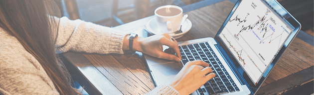 Introduction to the Elliott Wave Theory